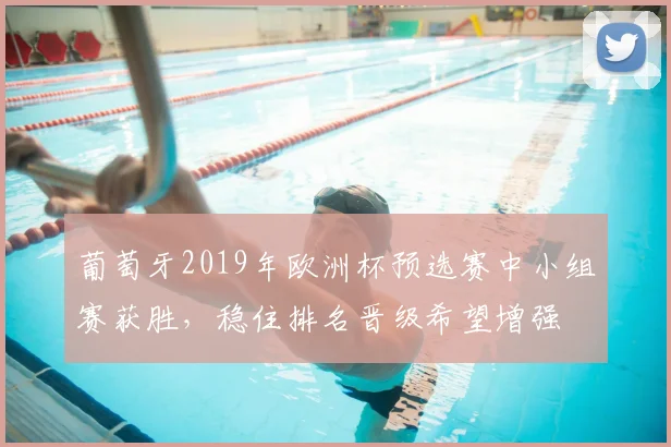 葡萄牙2019年欧洲杯预选赛中小组赛获胜,稳住排名晋级希望增强
