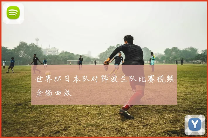 世界杯日本队对阵波兰队比赛视频全场回放