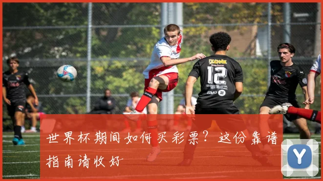 世界杯期间如何买彩票？这份靠谱指南请收好