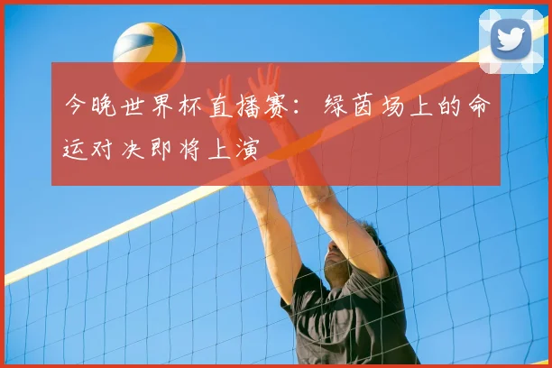 今晚世界杯直播赛：绿茵场上的命运对决即将上演