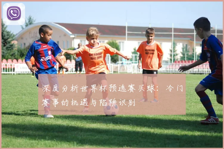 深度分析世界杯预选赛买球：冷门赛事的机遇与陷阱识别