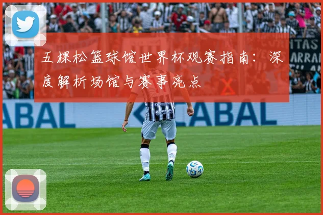 五棵松篮球馆世界杯观赛指南：深度解析场馆与赛事亮点