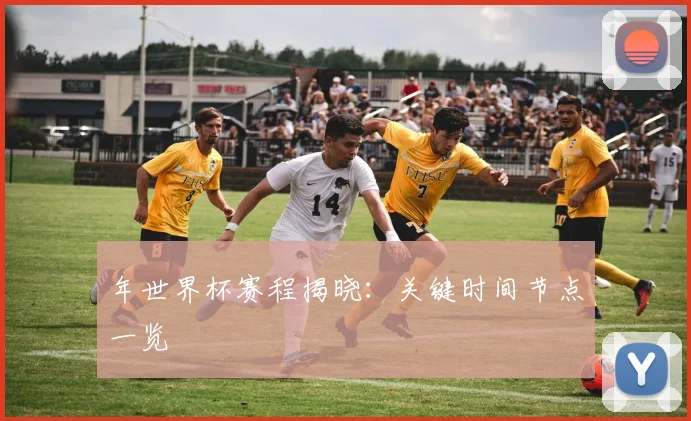 年世界杯赛程揭晓：关键时间节点一览
