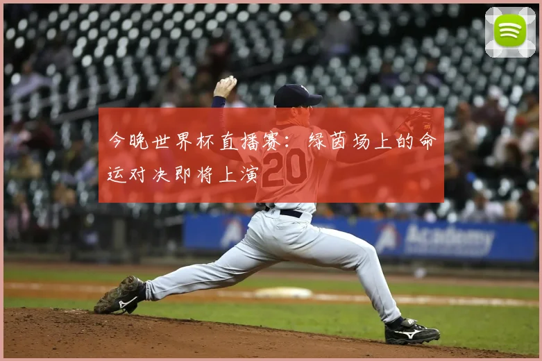 今晚世界杯直播赛：绿茵场上的命运对决即将上演